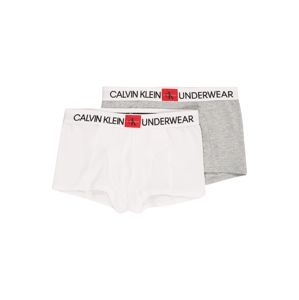 Calvin Klein Underwear Alsónadrág '2PK TRUNKS'  szürke / fehér