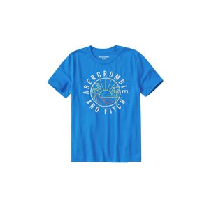 Abercrombie & Fitch Póló 'JAN TECH LOGO 8CC'  kék / vegyes színek