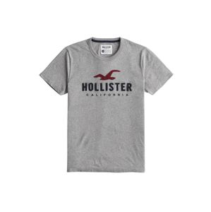 HOLLISTER T-Shirt  szürke