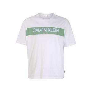 Calvin Klein Póló 'BT-STRIPE'  fehér / pasztellzöld / világoskék