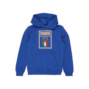 PUMA Sport szabadidős felsők 'FIGC PUMA DNA Hoody Jr'  kék